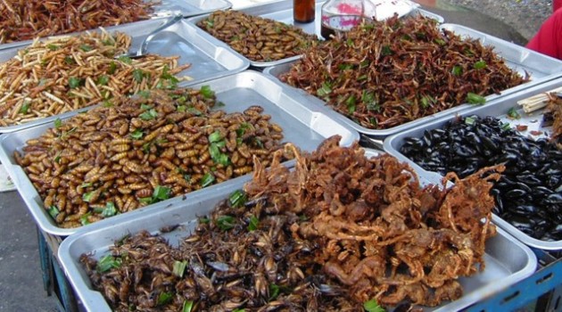 Another Paleo Diet Food Source? Insects! Ewww!